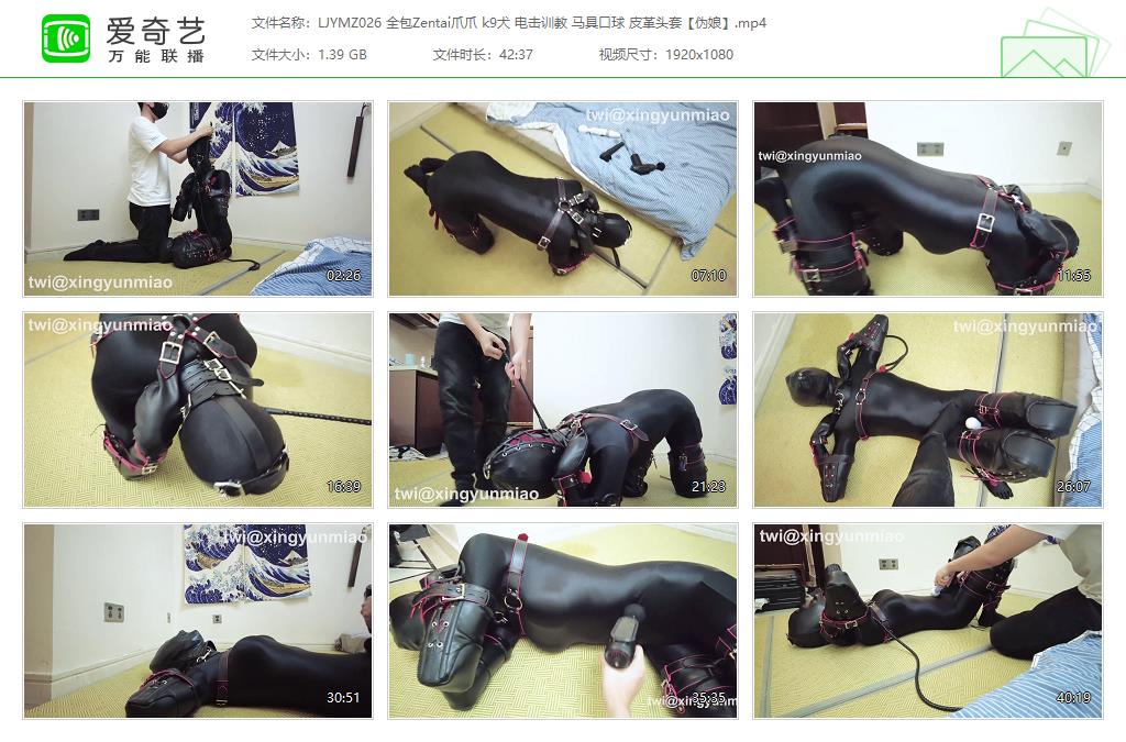 【鹿角与猫爪】 全包Zentai伪娘爪爪 k9犬电击 马具口球皮革头套-缚绑绳艺