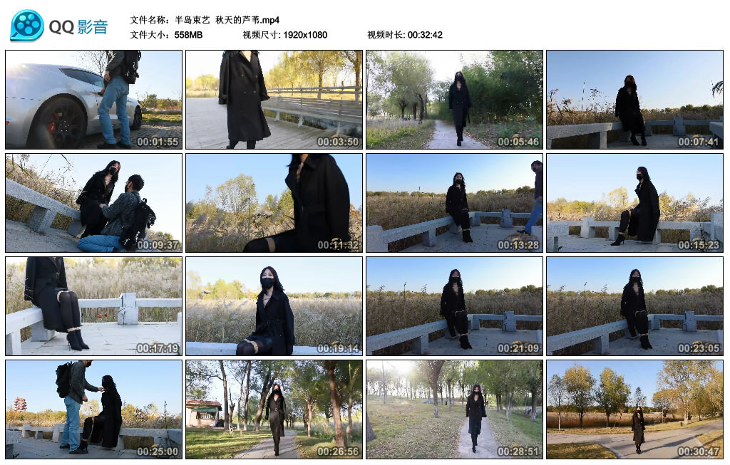 【半岛束艺】秋天的芦苇-缚绑绳艺