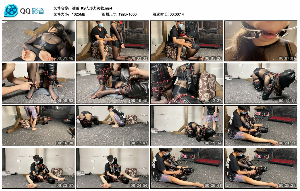 【涵涵】K9人形犬-缚绑绳艺